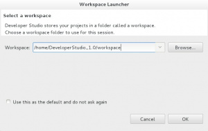 Developer Studio workspace launcher